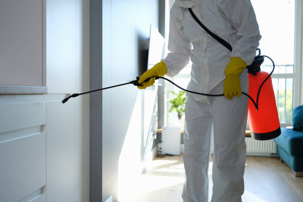 Best Mold Remediation for Specific Building Types in Pine Island, MN